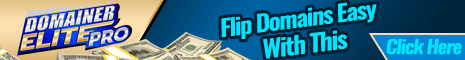 Flip domains with Domainer Elite